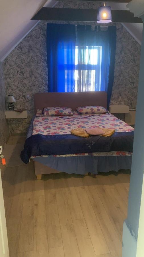 Martin Guest House Ventspils Ngoại thất bức ảnh