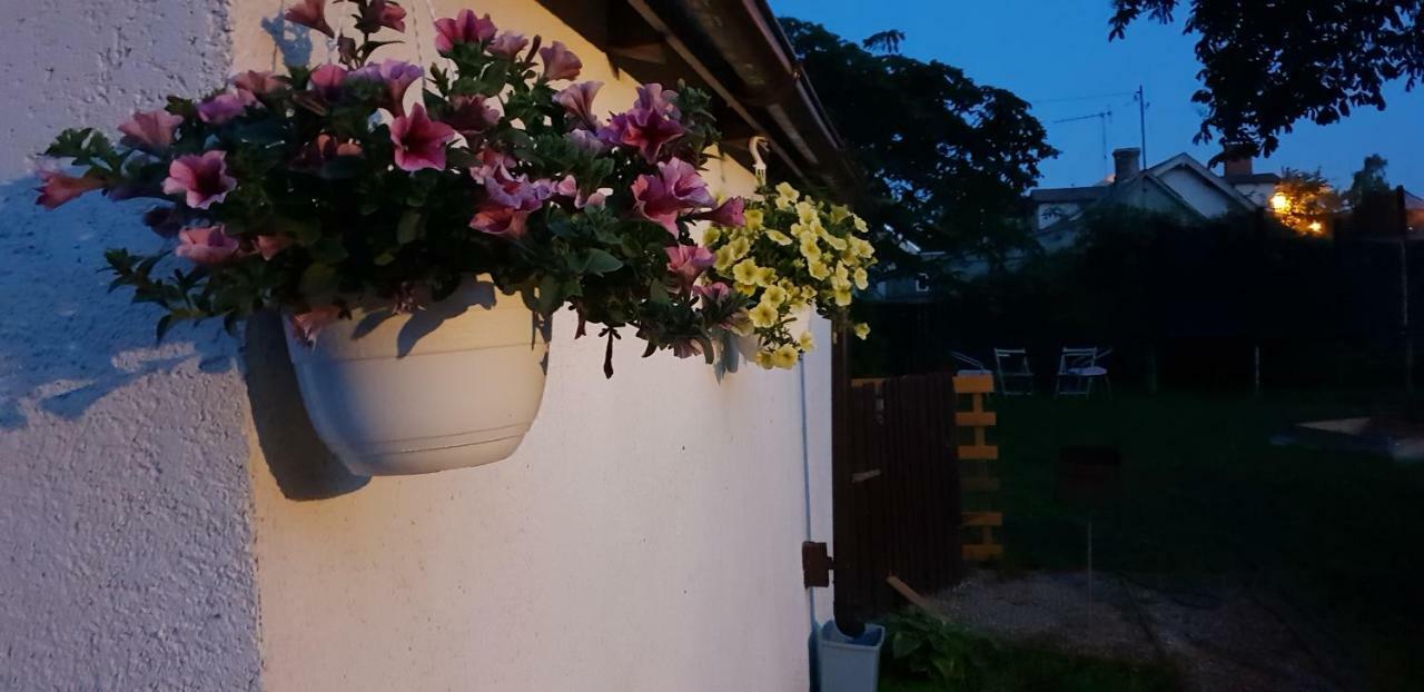 Martin Guest House Ventspils Ngoại thất bức ảnh
